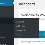 WordPress menu: tags