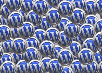 What are WordPress plugins and why you ​need them